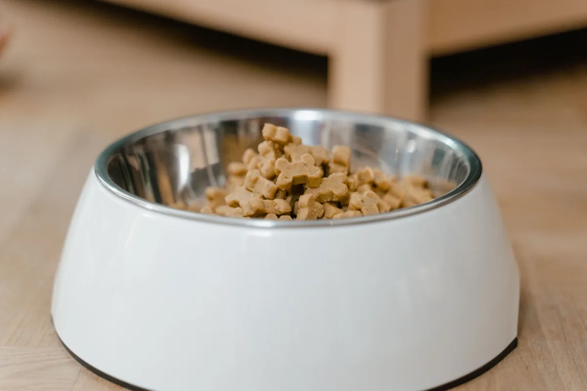 A bowl of dog food on a wooden surface