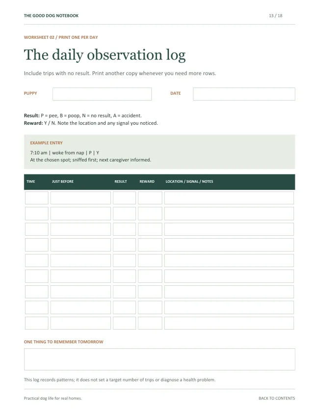 Preview of The daily observation log worksheet