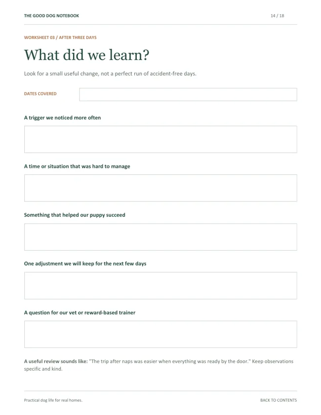 Preview of What did we learn? worksheet